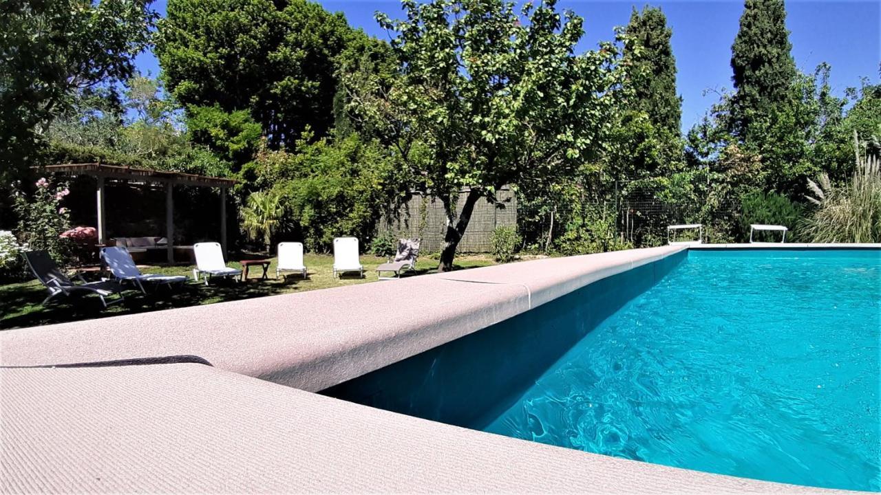 Casa Di Leo With Pool Villa Radicondoli Ngoại thất bức ảnh